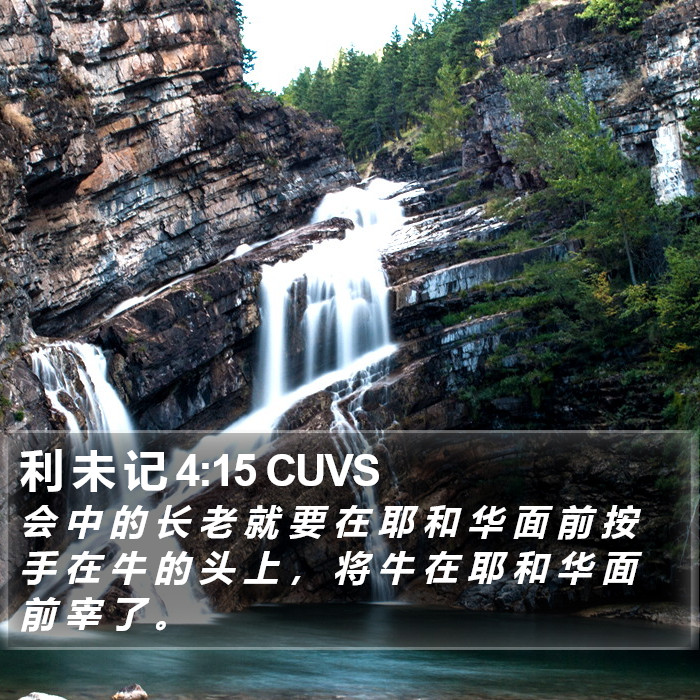 利 未 记 4:15 CUVS Bible Study