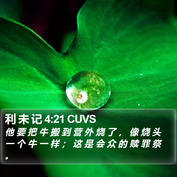 利 未 记 4:21 CUVS Bible Study