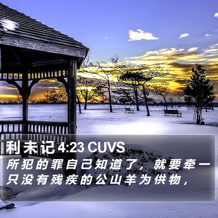 利 未 记 4:23 CUVS Bible Study