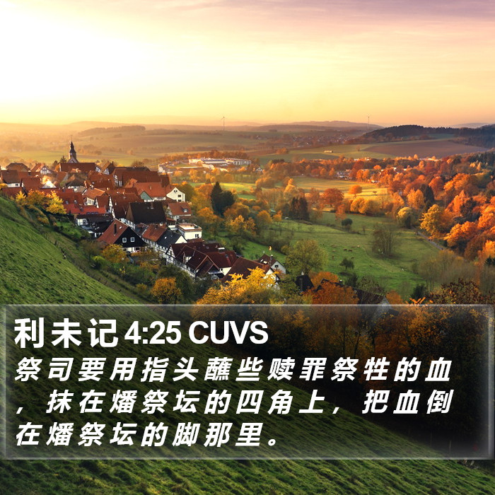 利 未 记 4:25 CUVS Bible Study