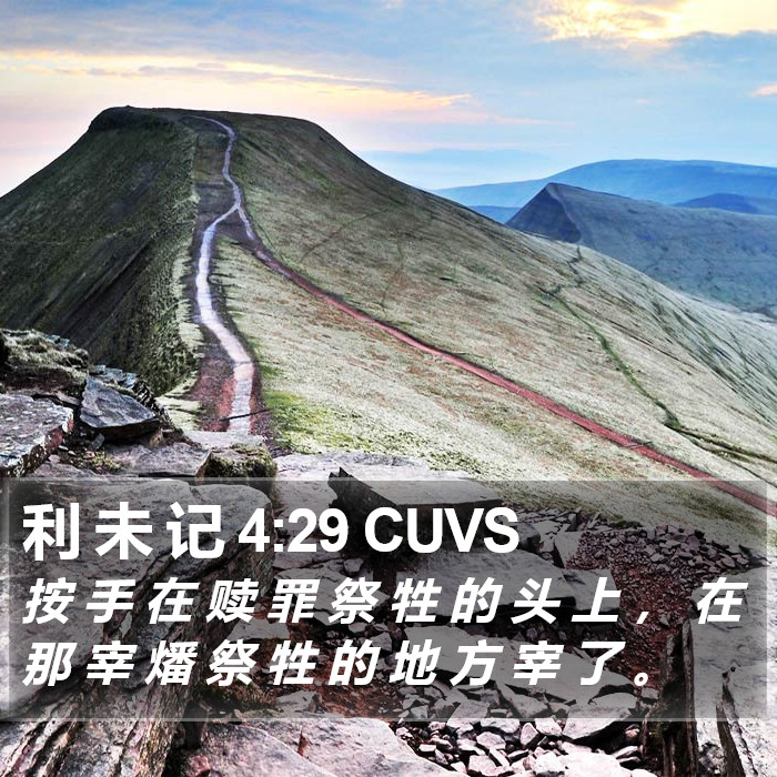利 未 记 4:29 CUVS Bible Study