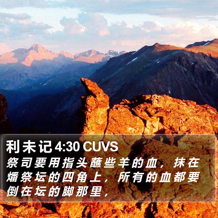 利 未 记 4:30 CUVS Bible Study