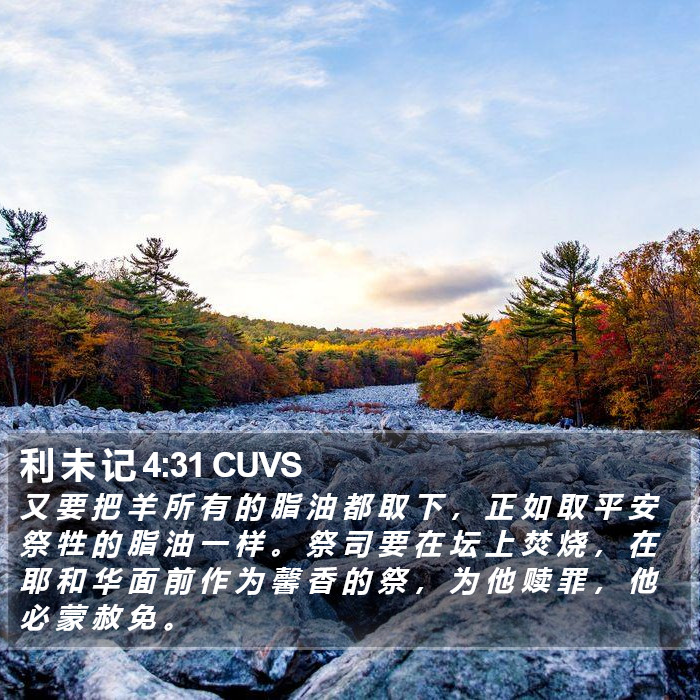 利 未 记 4:31 CUVS Bible Study
