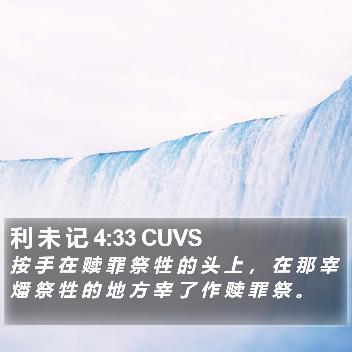利 未 记 4:33 CUVS Bible Study