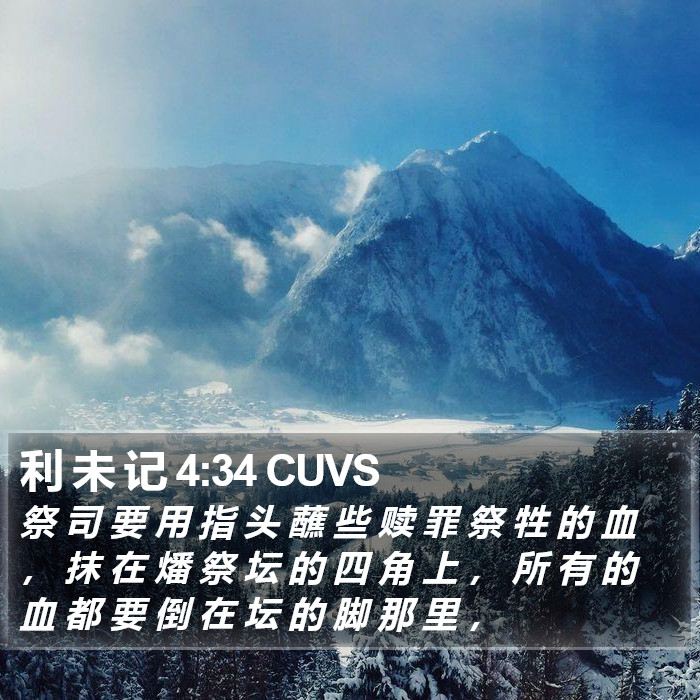 利 未 记 4:34 CUVS Bible Study