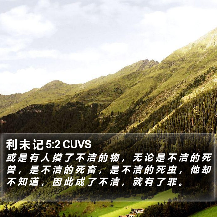利 未 记 5:2 CUVS Bible Study