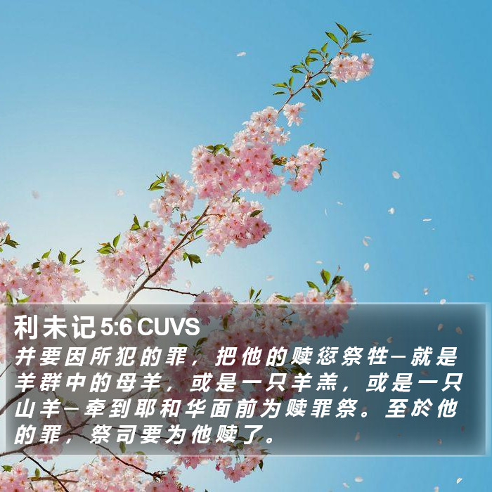 利 未 记 5:6 CUVS Bible Study