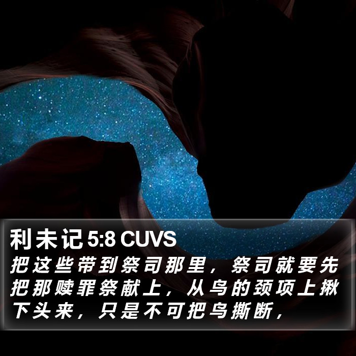 利 未 记 5:8 CUVS Bible Study
