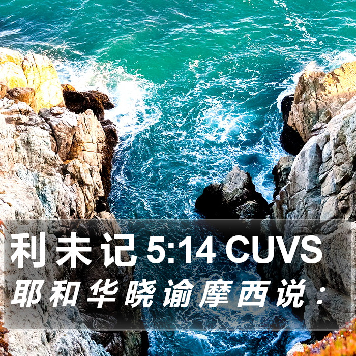 利 未 记 5:14 CUVS Bible Study