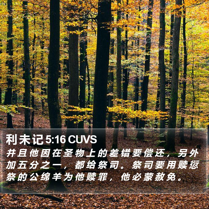 利 未 记 5:16 CUVS Bible Study