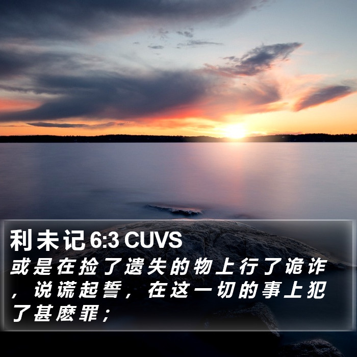 利 未 记 6:3 CUVS Bible Study