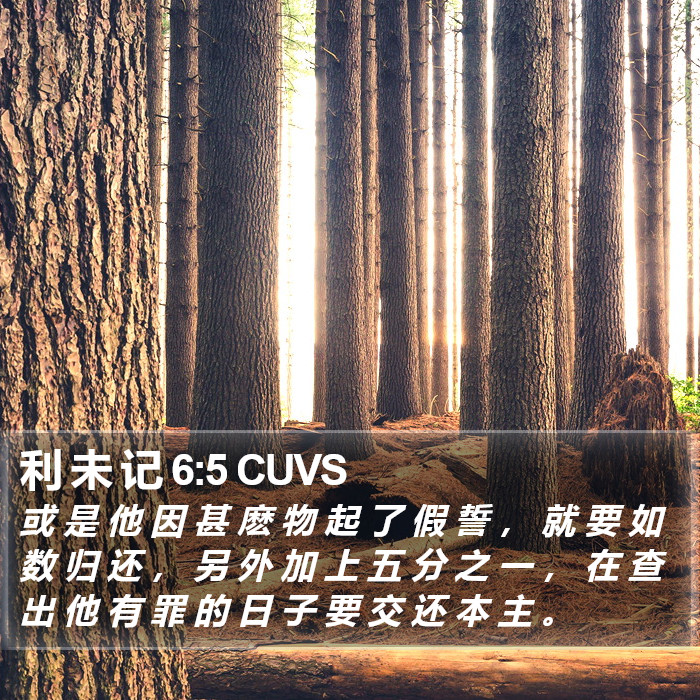 利 未 记 6:5 CUVS Bible Study