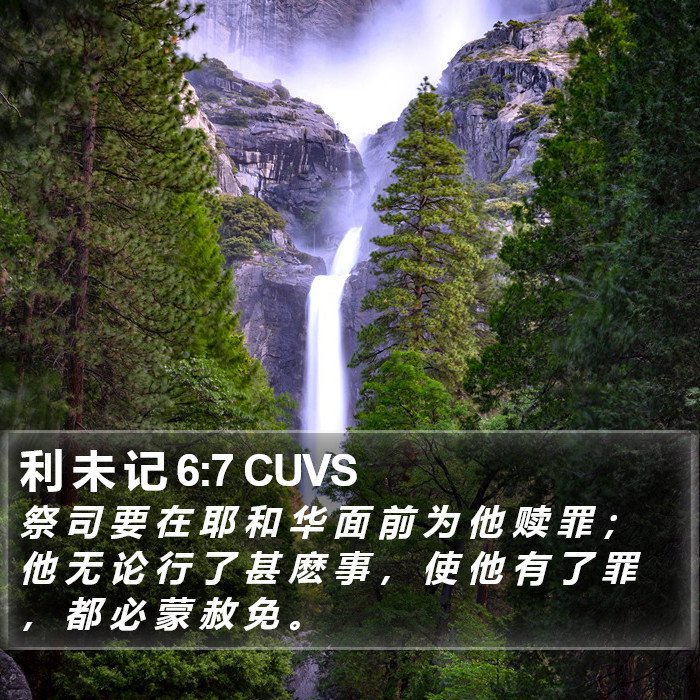 利 未 记 6:7 CUVS Bible Study