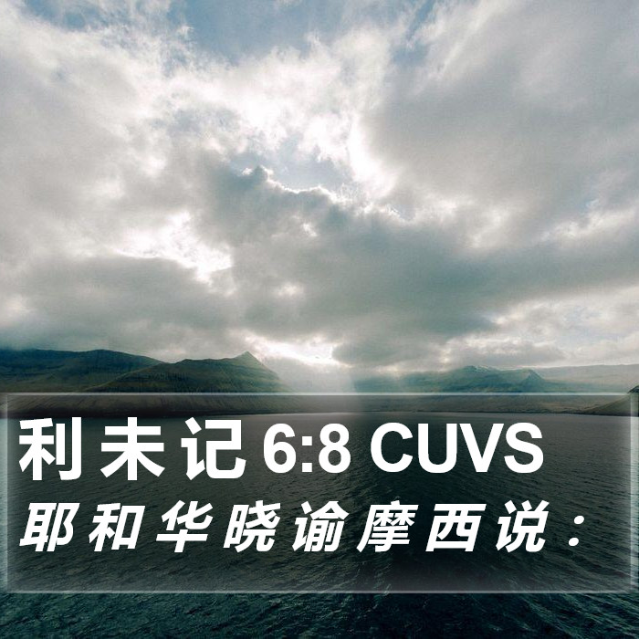 利 未 记 6:8 CUVS Bible Study