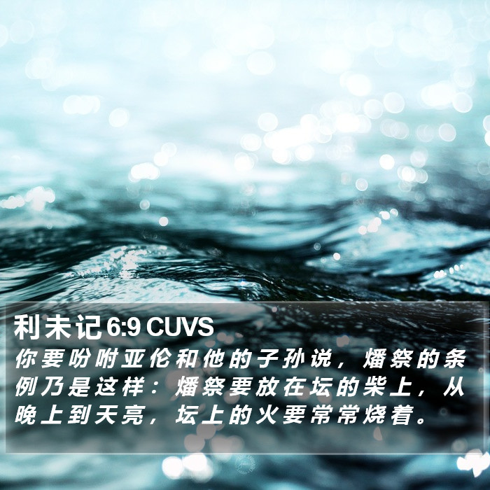 利 未 记 6:9 CUVS Bible Study