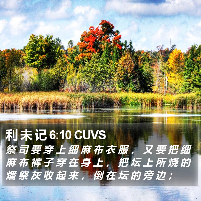 利 未 记 6:10 CUVS Bible Study