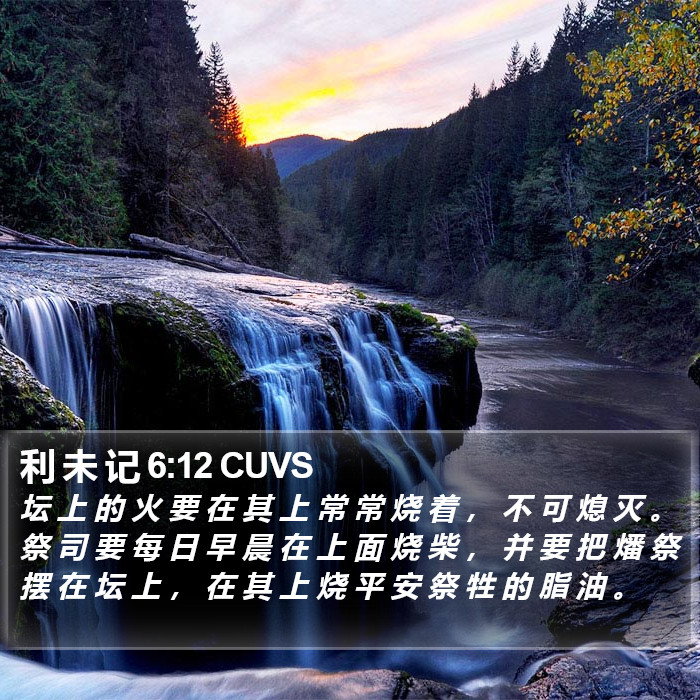 利 未 记 6:12 CUVS Bible Study