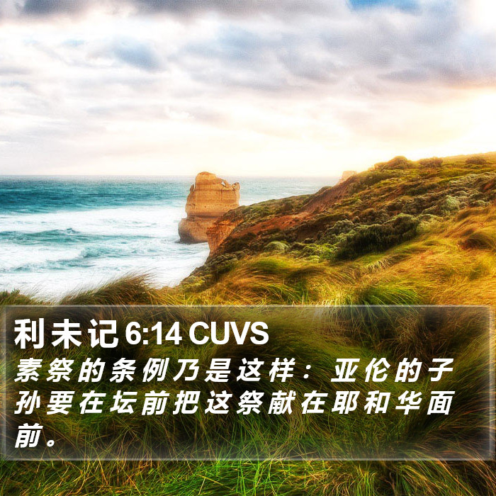 利 未 记 6:14 CUVS Bible Study