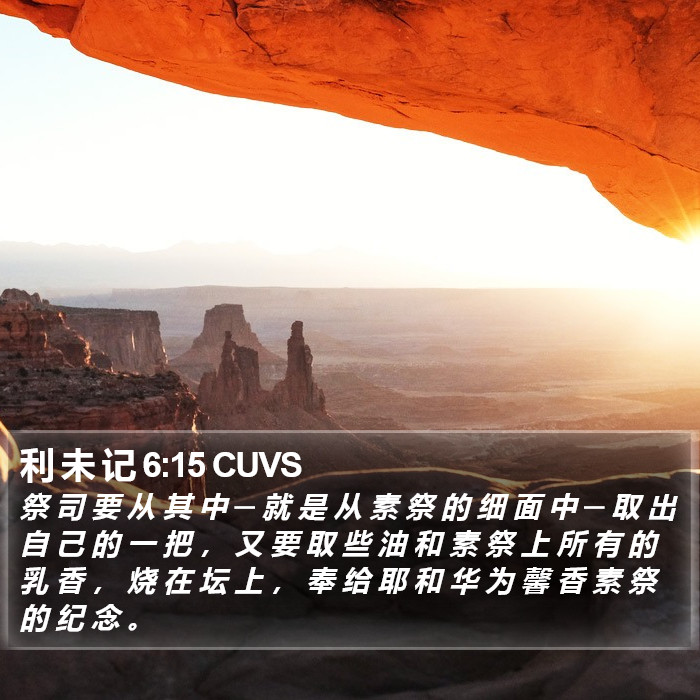 利 未 记 6:15 CUVS Bible Study