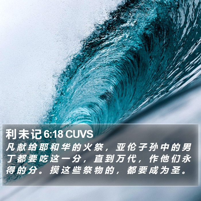 利 未 记 6:18 CUVS Bible Study