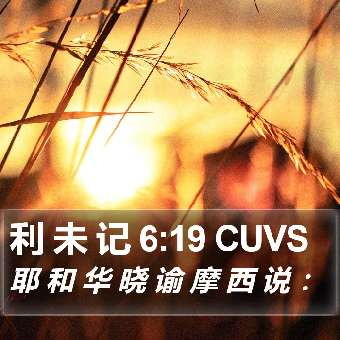 利 未 记 6:19 CUVS Bible Study