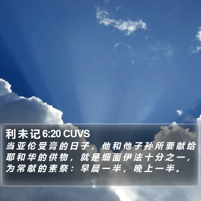 利 未 记 6:20 CUVS Bible Study