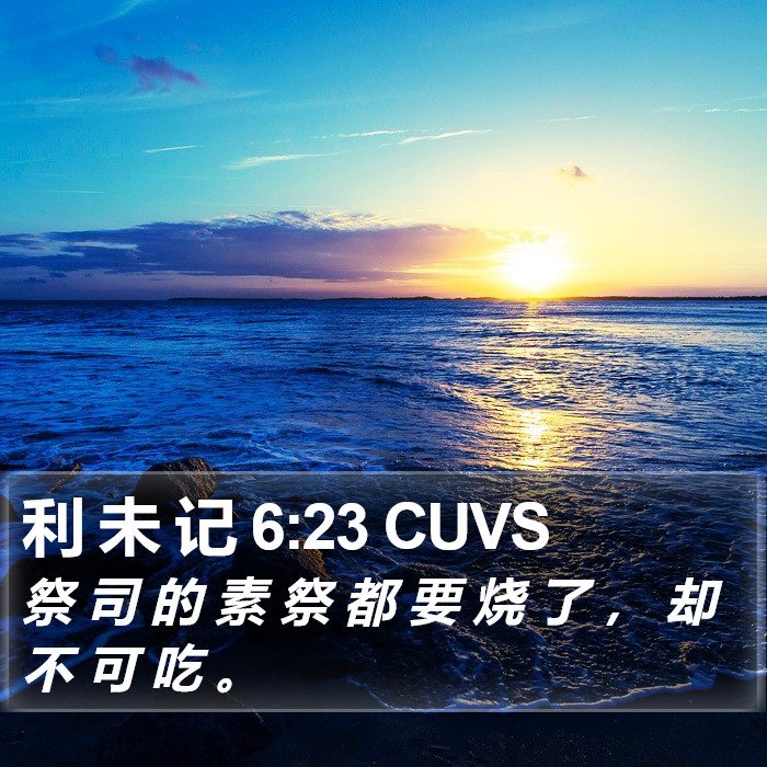 利 未 记 6:23 CUVS Bible Study