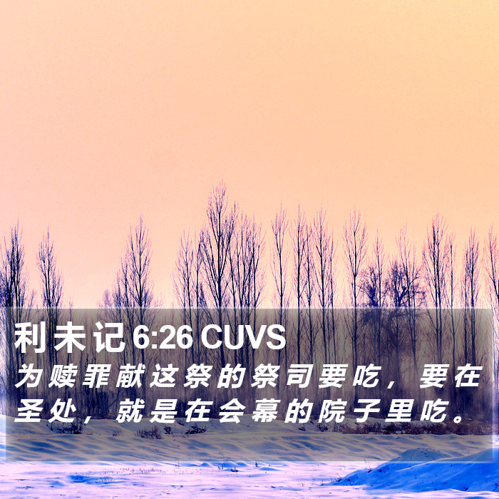 利 未 记 6:26 CUVS Bible Study