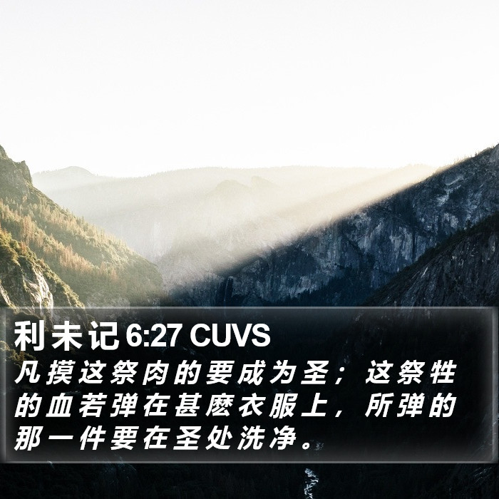 利 未 记 6:27 CUVS Bible Study