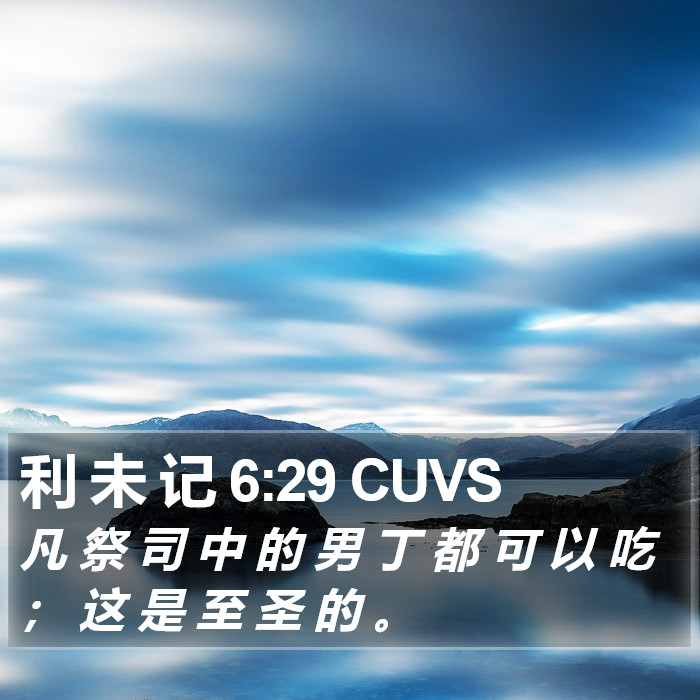 利 未 记 6:29 CUVS Bible Study