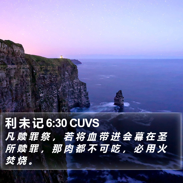 利 未 记 6:30 CUVS Bible Study