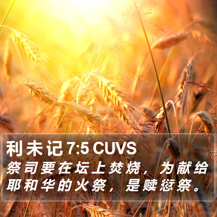 利 未 记 7:5 CUVS Bible Study