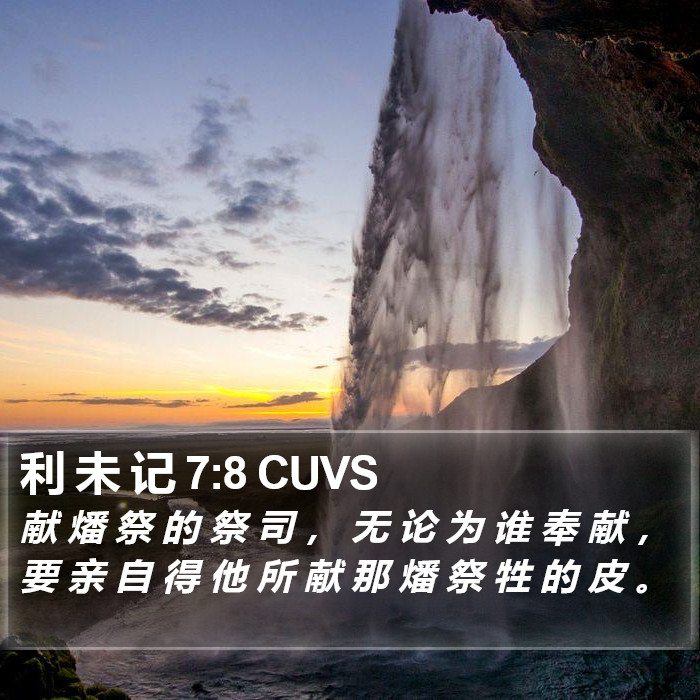 利 未 记 7:8 CUVS Bible Study
