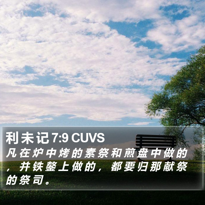 利 未 记 7:9 CUVS Bible Study