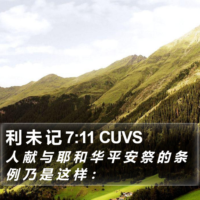 利 未 记 7:11 CUVS Bible Study