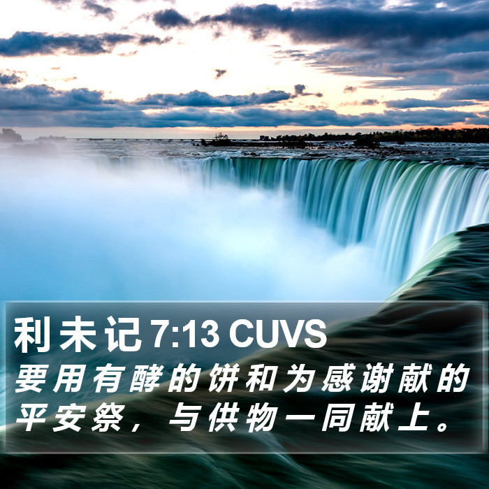 利 未 记 7:13 CUVS Bible Study