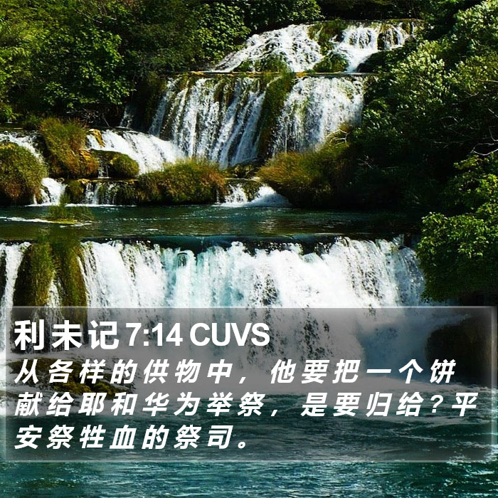 利 未 记 7:14 CUVS Bible Study