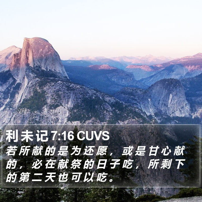 利 未 记 7:16 CUVS Bible Study