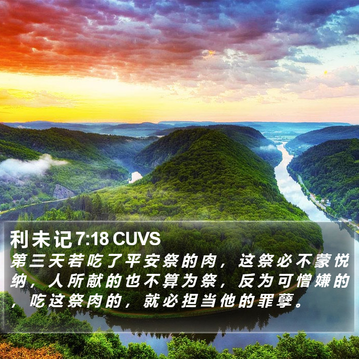 利 未 记 7:18 CUVS Bible Study