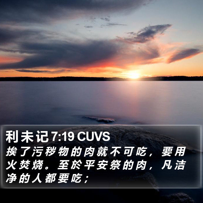 利 未 记 7:19 CUVS Bible Study