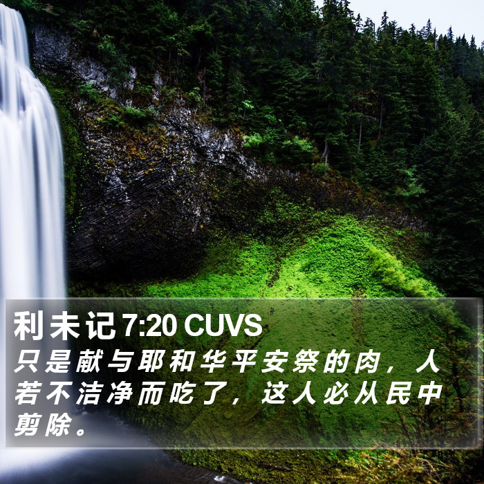 利 未 记 7:20 CUVS Bible Study