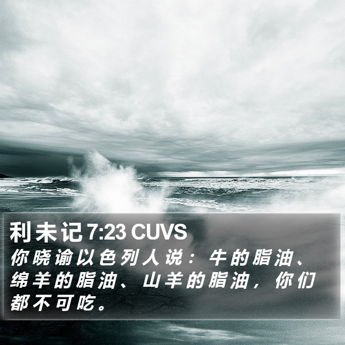 利 未 记 7:23 CUVS Bible Study