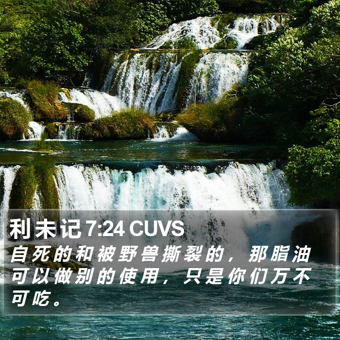 利 未 记 7:24 CUVS Bible Study