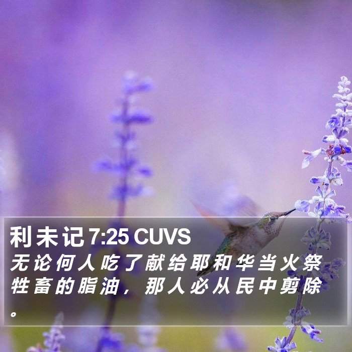 利 未 记 7:25 CUVS Bible Study
