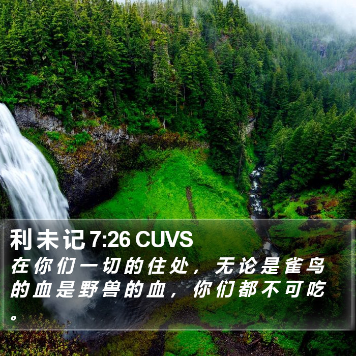 利 未 记 7:26 CUVS Bible Study