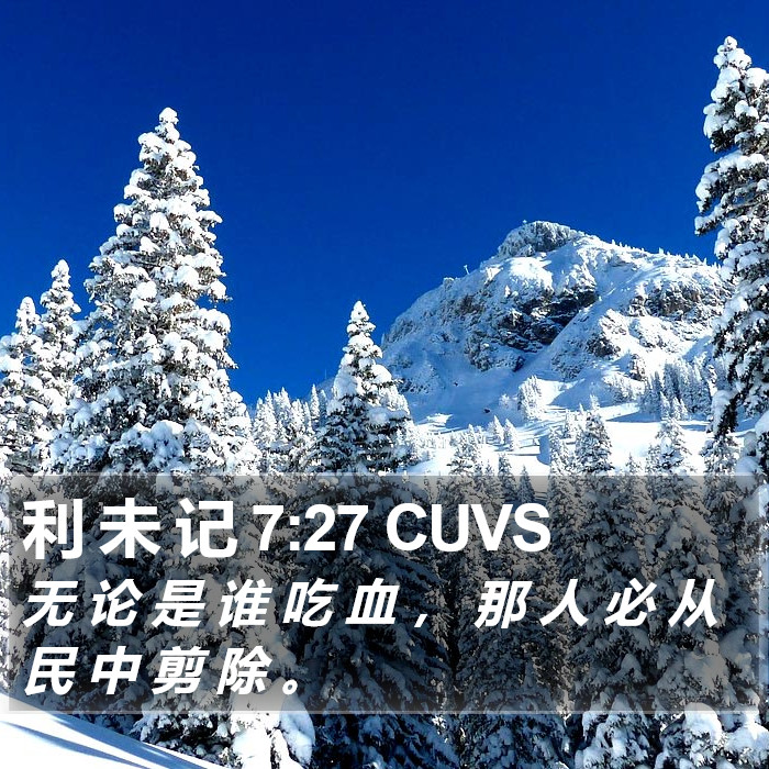 利 未 记 7:27 CUVS Bible Study