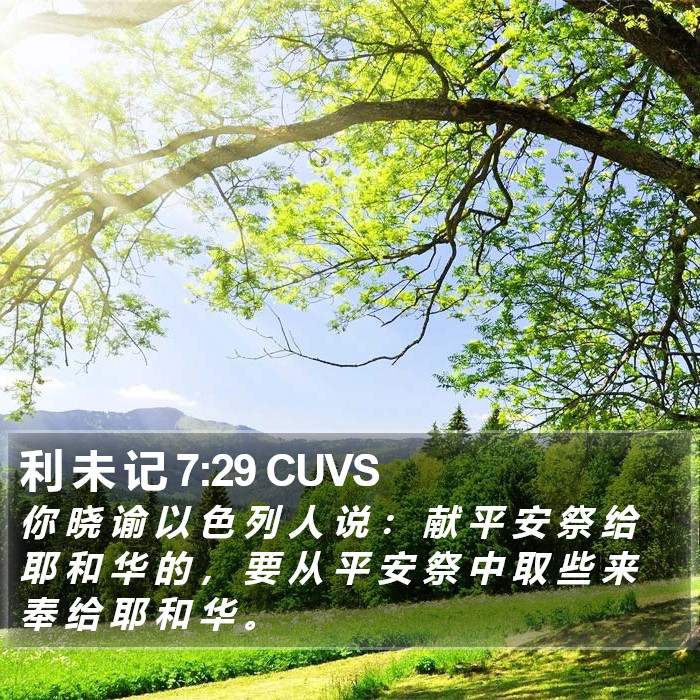 利 未 记 7:29 CUVS Bible Study