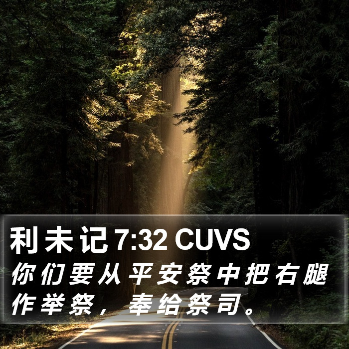 利 未 记 7:32 CUVS Bible Study
