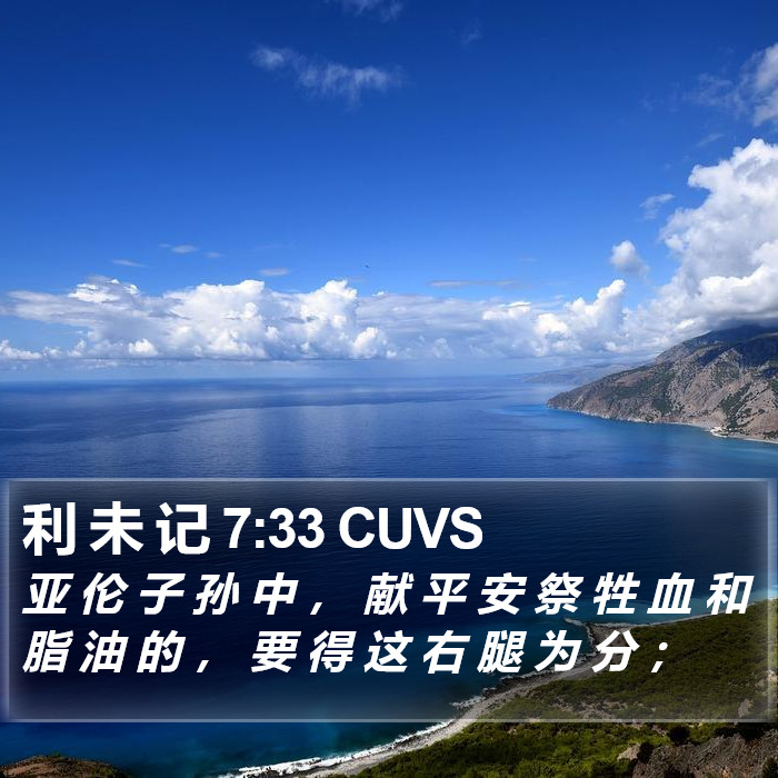 利 未 记 7:33 CUVS Bible Study