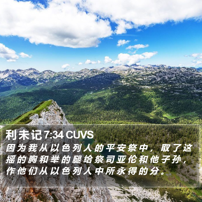 利 未 记 7:34 CUVS Bible Study